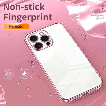 For iPhone 16 Pro Max Transparent Plating Fine Hole Phone Case(Transparent) - iPhone 16 Pro Max Cases by buy2fix | Online Shopping UK | buy2fix