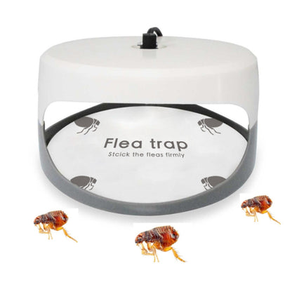Flea Trap Pet Home Flea Lamp, Plug Type:US Plug - Traps by buy2fix | Online Shopping UK | buy2fix