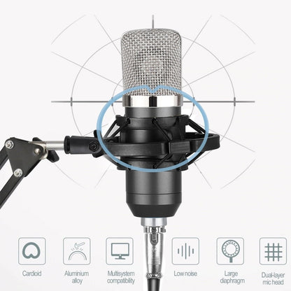 BM-700 USB Professional Condenser Microphone - Consumer Electronics by buy2fix | Online Shopping UK | buy2fix