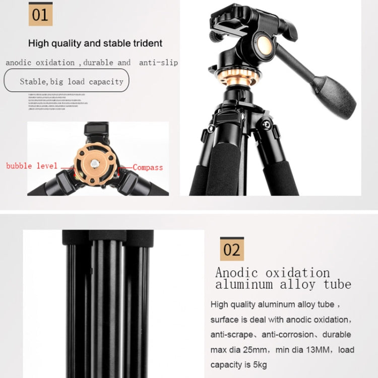 Q338 4-Section Folding Legs Live Broadcast Aluminum Alloy Tripod Mount With Ball Head - Camera Accessories by buy2fix | Online Shopping UK | buy2fix