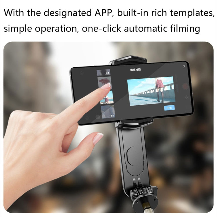 Removable Fill Light Phone Handheld Stabilizer with APP(Q09 Black) - Consumer Electronics by buy2fix | Online Shopping UK | buy2fix