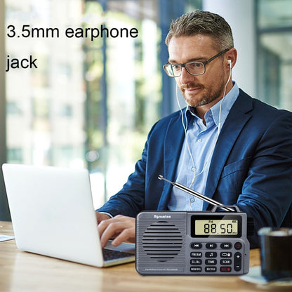 QL-221 Multifunctional Portable Bluetooth Plug-In Card Two-Band FM/AM Recording Radio, Style: US Version(Grey) - Radio Player by buy2fix | Online Shopping UK | buy2fix